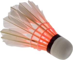 Badminton volant PNG image-10434